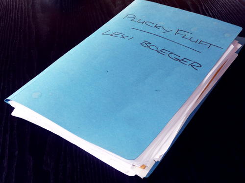 The Blue Folder The Blue Folder